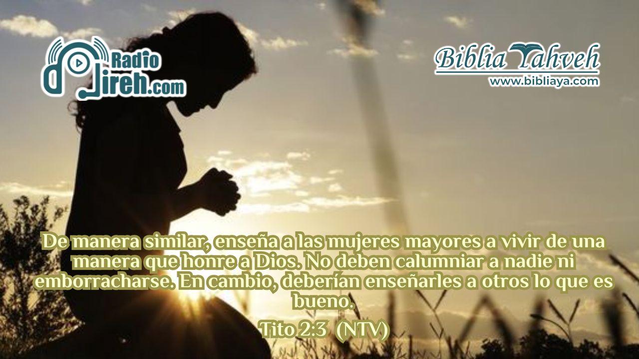 De manera similar, enseña a las mujeres mayores a vivir de una manera que honre a Dios. No deben calumniar a nadie ni emborracharse.* En cambio, deberían enseñarles a otros lo que es bueno.