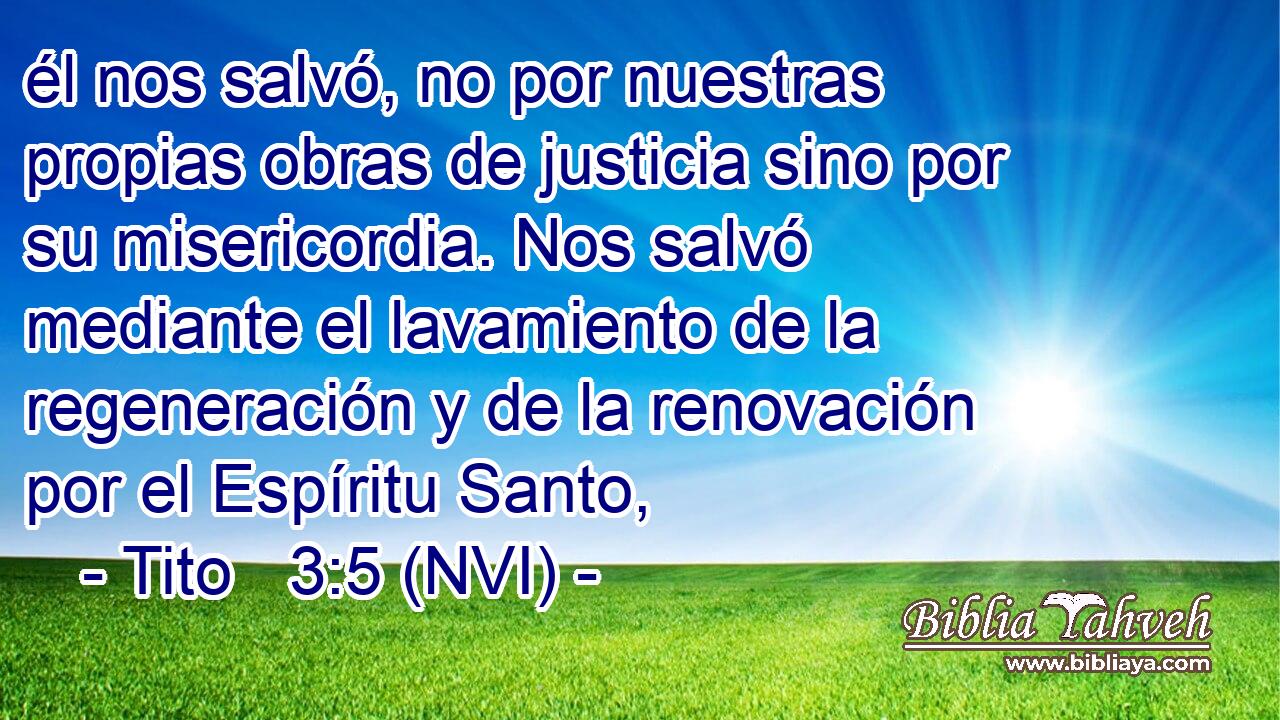  él nos salvó, no por nuestras propias obras de justicia sino por su misericordia. Nos salvó mediante el lavamiento de la regeneración y de la renovación por el Espíritu Santo, 