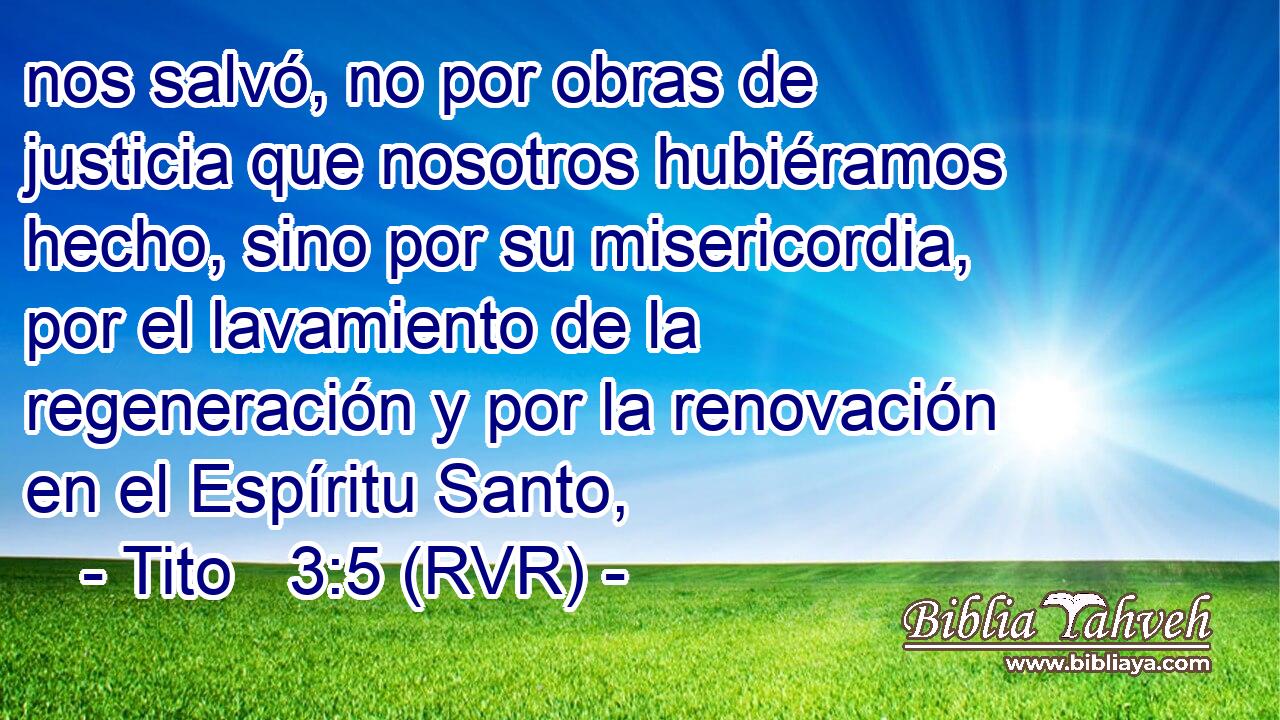 nos salvó, no por obras de justicia que nosotros hubiéramos hecho, sino por su misericordia, por el lavamiento de la regeneración y por la renovación en el Espíritu Santo,