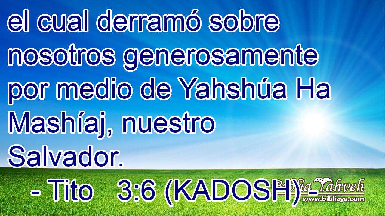  el cual derramó sobre nosotros generosamente por medio de Yahshúa Ha Mashíaj, nuestro Salvador. 