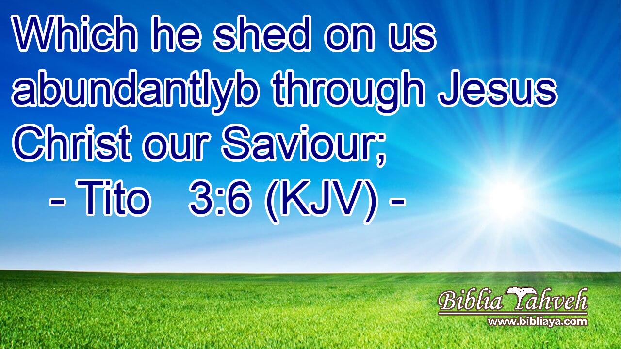 Which he shed on us abundantlyb through Jesus Christ our Saviour;