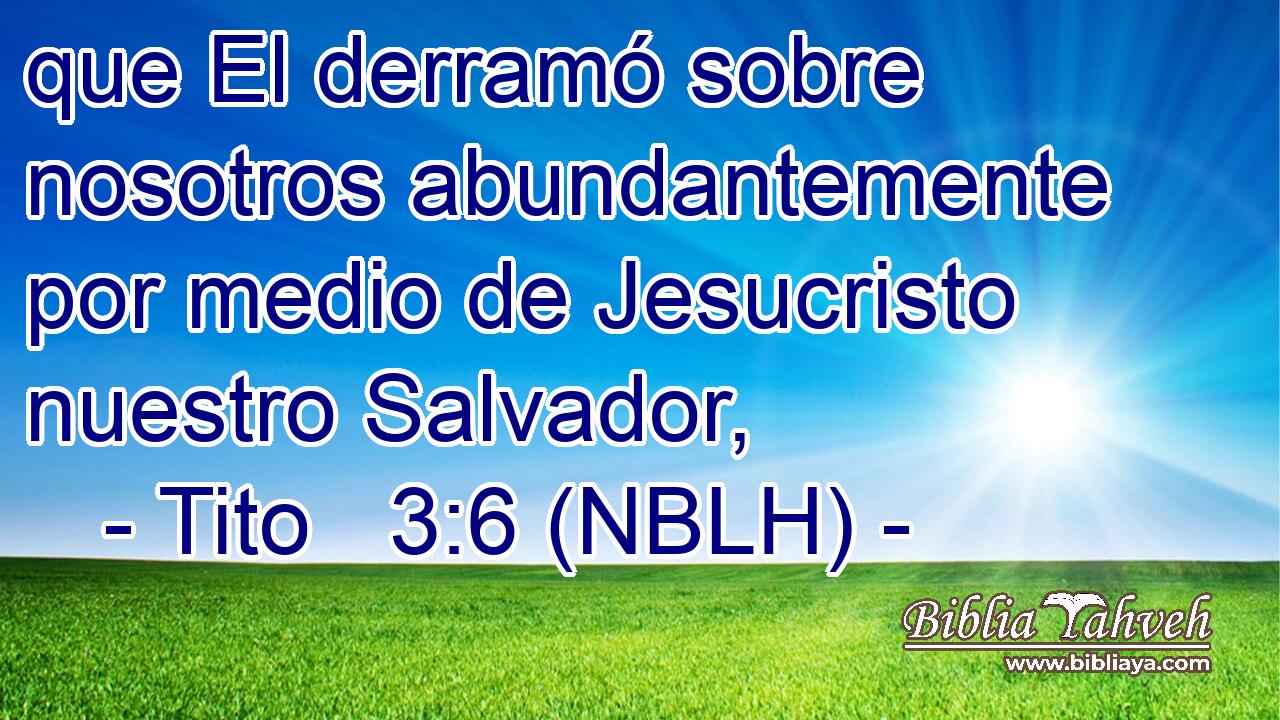  que El derramó sobre nosotros abundantemente por medio de Jesucristo nuestro Salvador, 