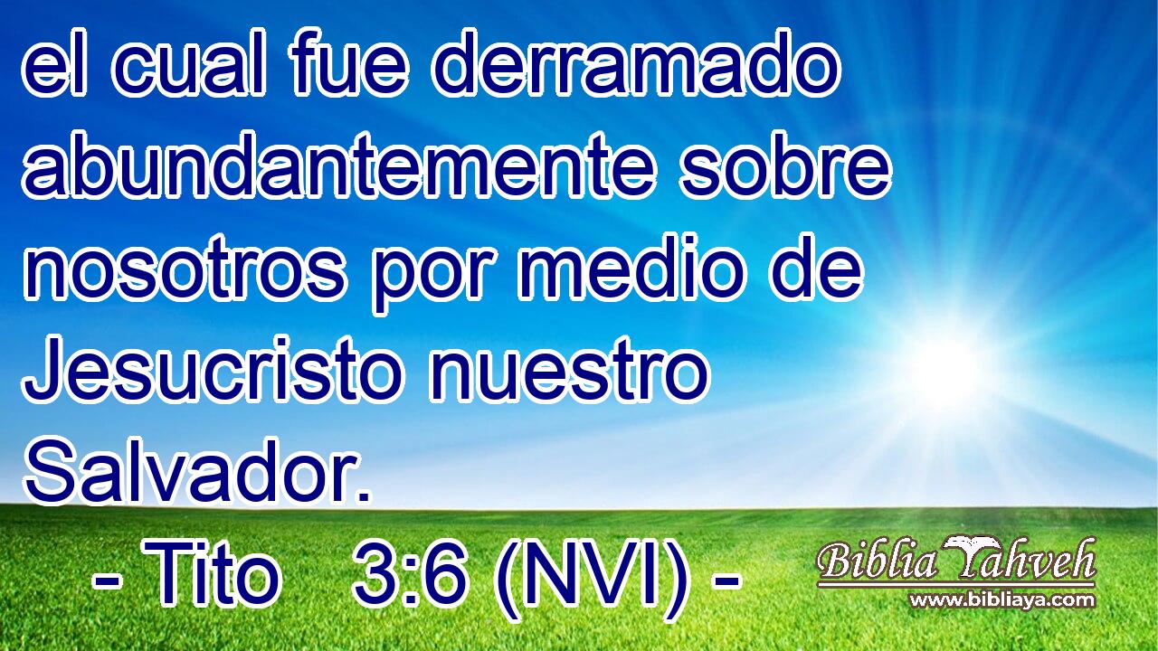  el cual fue derramado abundantemente sobre nosotros por medio de Jesucristo nuestro Salvador. 