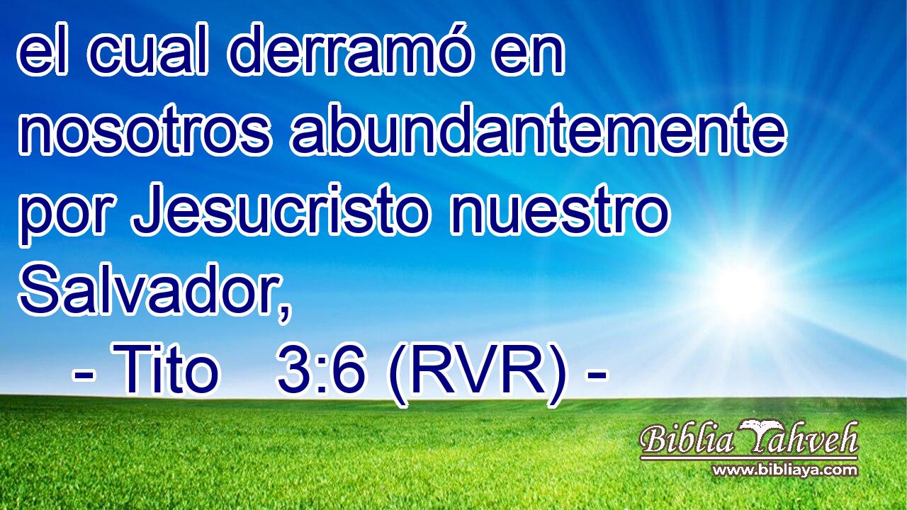el cual derramó en nosotros abundantemente por Jesucristo nuestro Salvador,
