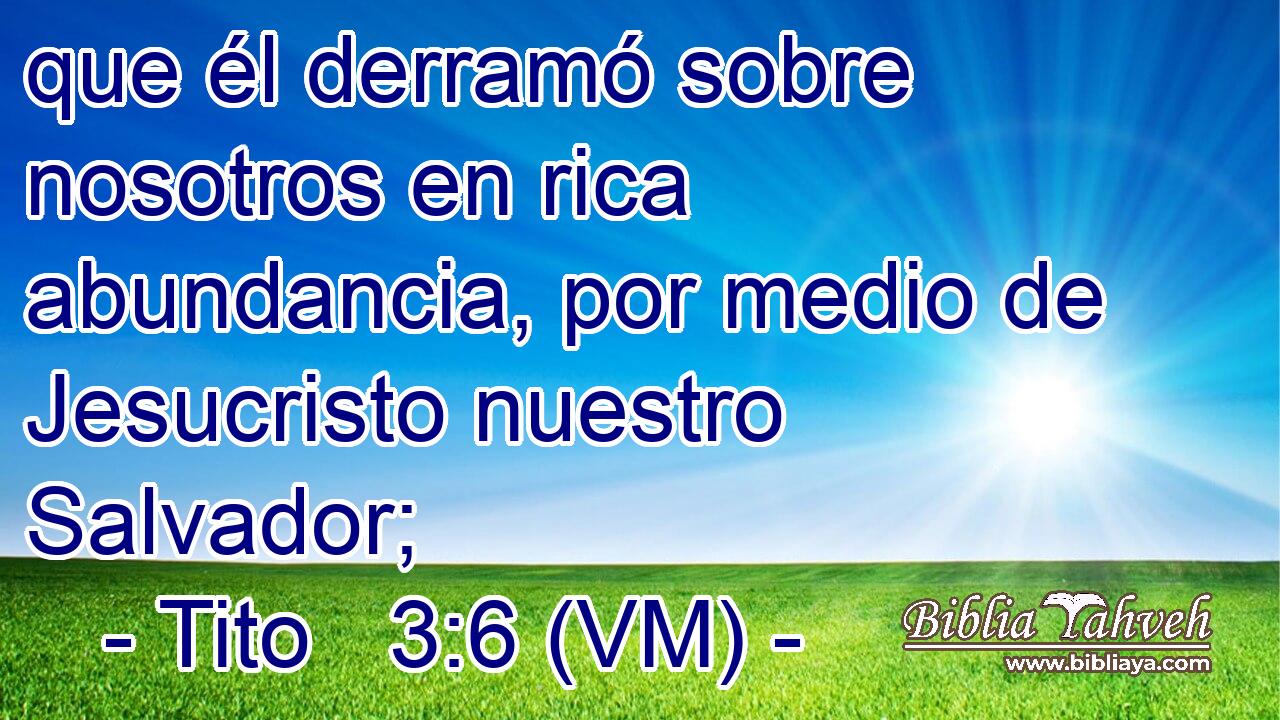  que él derramó sobre nosotros en rica abundancia, por medio de Jesucristo nuestro Salvador; 