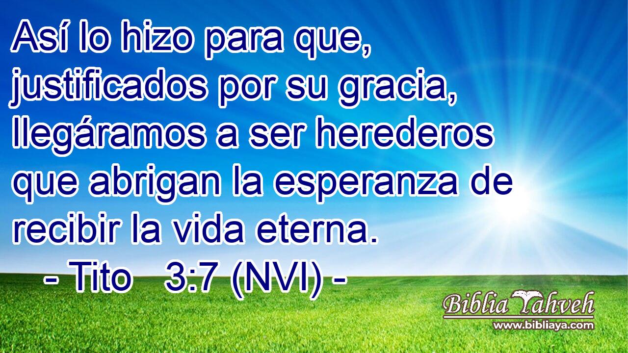  Así lo hizo para que, justificados por su gracia, llegáramos a ser herederos que abrigan la esperanza de recibir la vida eterna. 