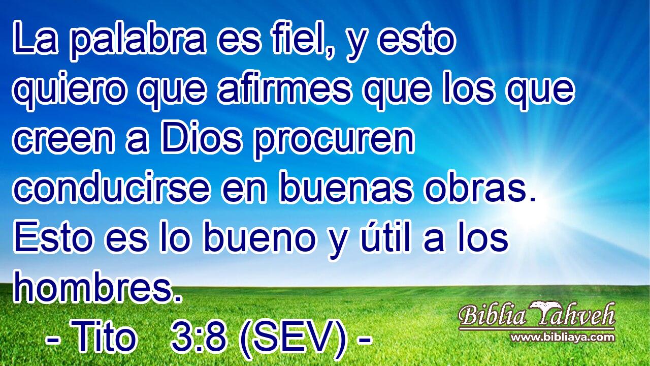 La palabra es fiel, y esto quiero que afirmes que los que creen a Dios procuren conducirse en buenas obras. Esto es lo bueno y útil a los hombres.
