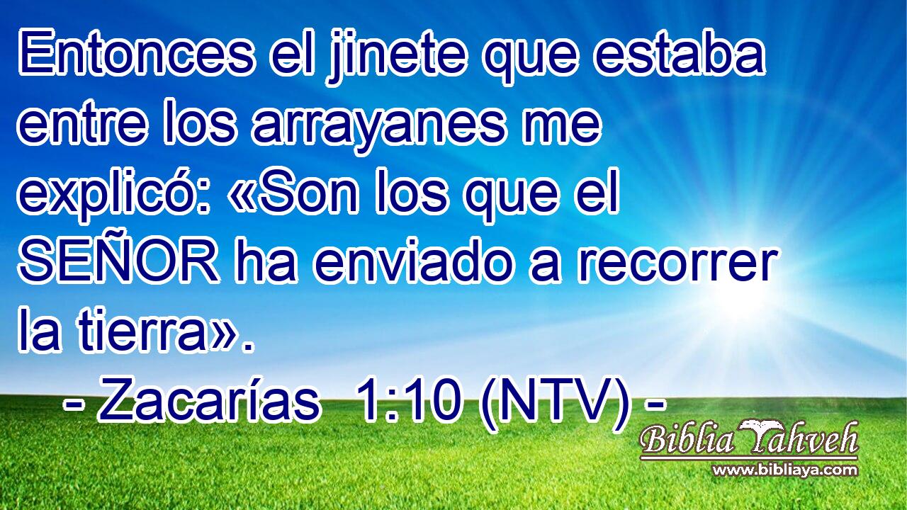 Entonces el jinete que estaba entre los arrayanes me explicó: «Son los que el SEÑOR ha enviado a recorrer la tierra».