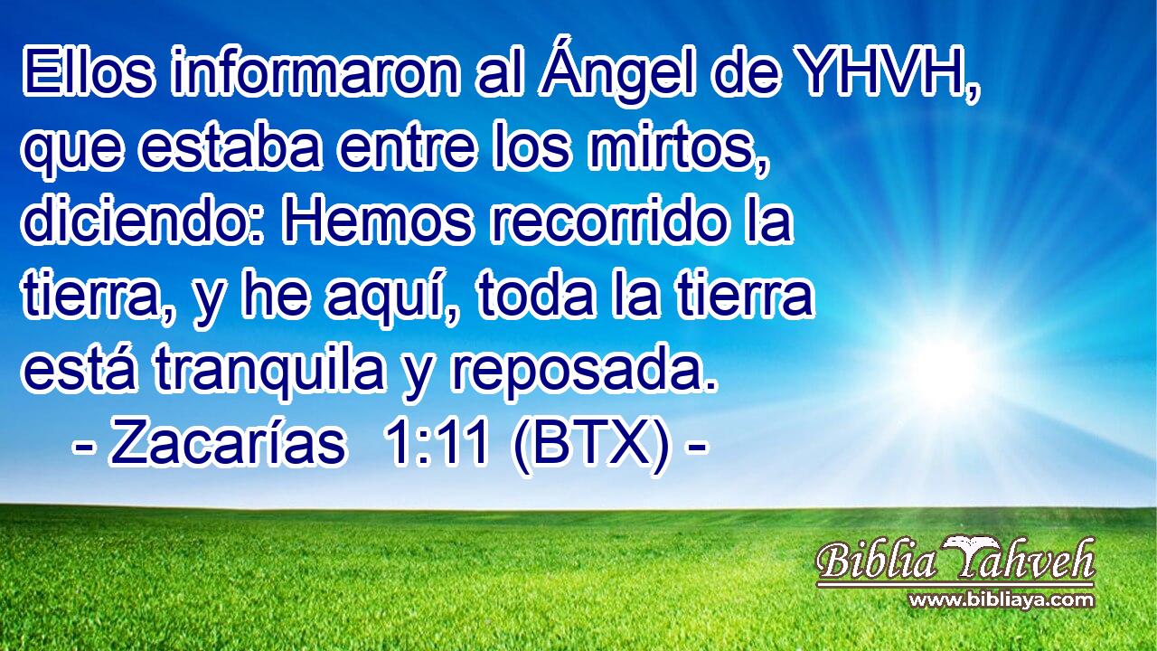 Ellos informaron al Ángel de YHVH, que estaba entre los mirtos, diciendo: Hemos recorrido la tierra, y he aquí, toda la tierra está tranquila y reposada.
