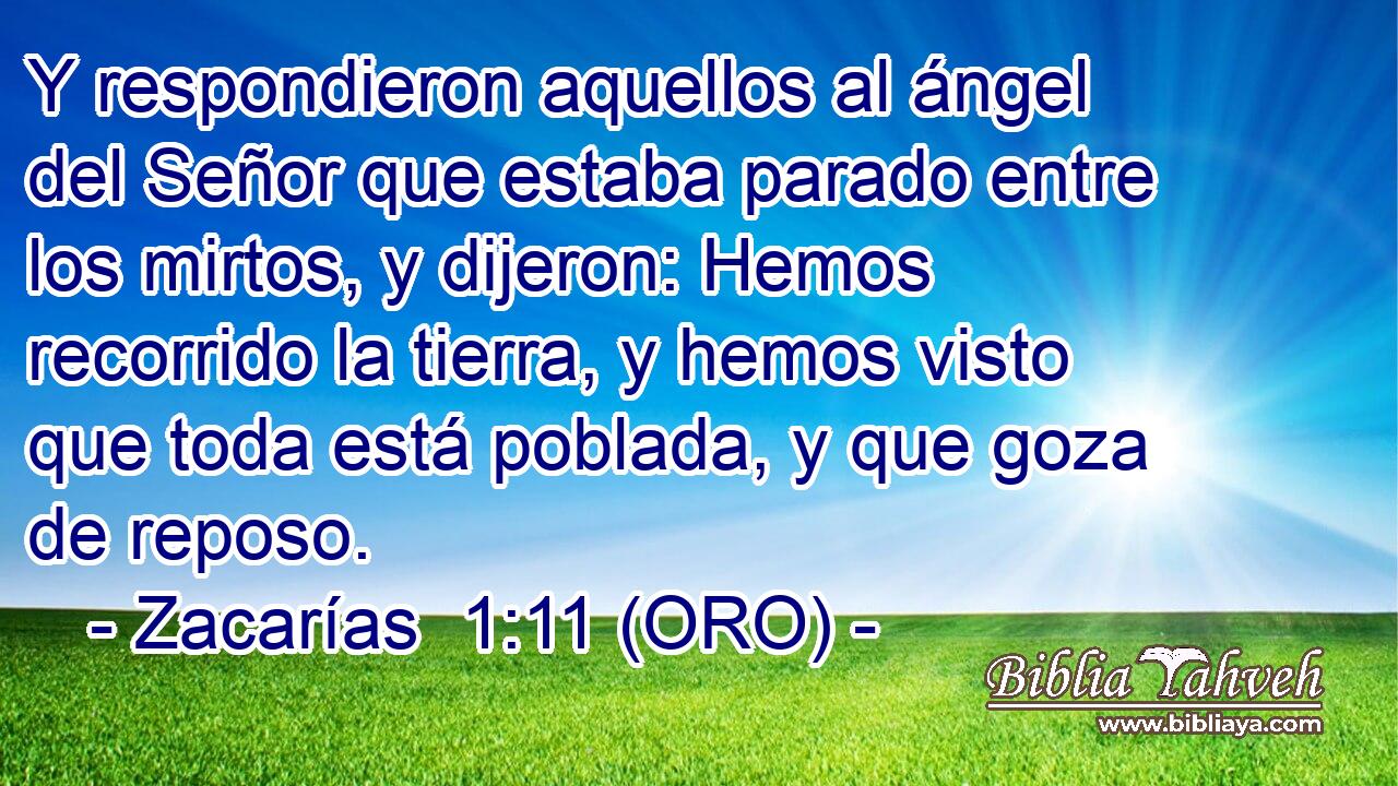 Y respondieron aquellos al ángel del Señor que estaba parado entre los mirtos, y dijeron: Hemos recorrido la tierra, y hemos visto que toda está poblada, y que goza de reposo. 