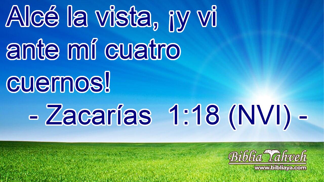  Alcé la vista, ¡y vi ante mí cuatro cuernos! 