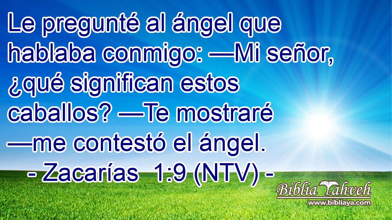 Le pregunté al ángel que hablaba conmigo: —Mi señor, ¿qué significan estos caballos? —Te mostraré —me contestó el ángel.