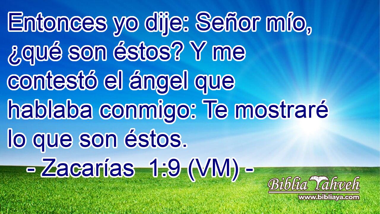  Entonces yo dije: Señor mío, ¿qué son éstos? Y me contestó el ángel que hablaba conmigo: Te mostraré lo que son éstos. 