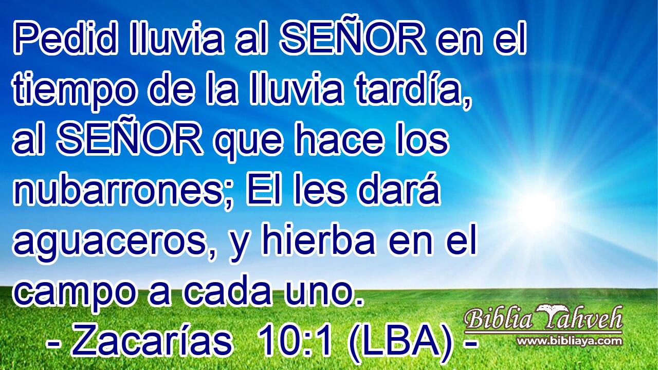 Pedid lluvia al SEÑOR en el tiempo de la lluvia tardía, al SEÑOR que hace los nubarrones; El les dará aguaceros, y hierba en el campo a cada uno.