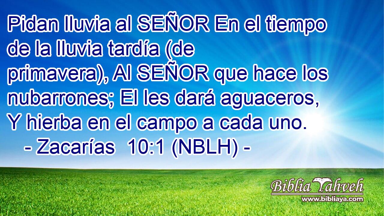  Pidan lluvia al SEÑOR En el tiempo de la lluvia tardía (de primavera), Al SEÑOR que hace los nubarrones; El les dará aguaceros, Y hierba en el campo a cada uno. 