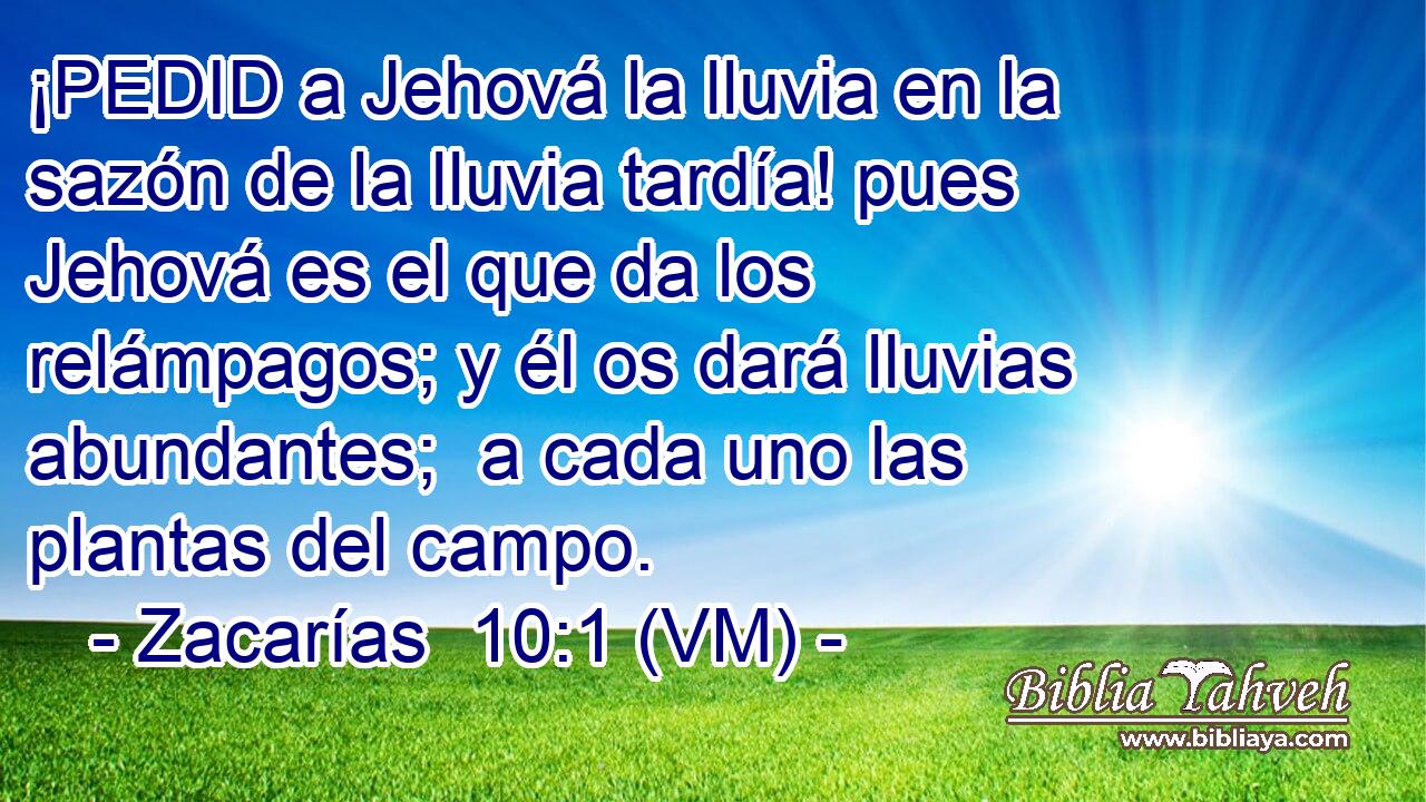  ¡PEDID a Jehová la lluvia en la sazón de la lluvia tardía! pues Jehová es el que da los relámpagos; y él os dará lluvias abundantes;  a cada uno las plantas del campo. 