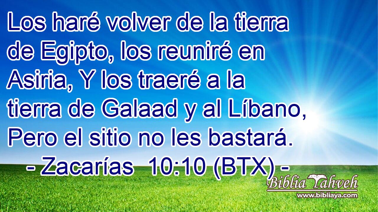 Los haré volver de la tierra de Egipto, los reuniré en Asiria, Y los traeré a la tierra de Galaad y al Líbano, Pero el sitio no les bastará.