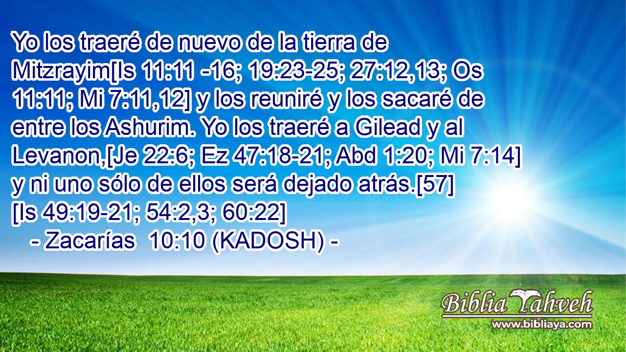  Yo los traeré de nuevo de la tierra de Mitzrayim[Is 11:11 -16; 19:23-25; 27:12,13; Os 11:11; Mi 7:11,12] y los reuniré y los sacaré de entre los Ashurim. Yo los traeré a Gilead y al Levanon,[Je 22:6; Ez 47:18-21; Abd 1:20; Mi 7:14] y ni uno sólo de ellos será dejado atrás.[57] [Is 49:19-21; 54:2,3; 60:22] 