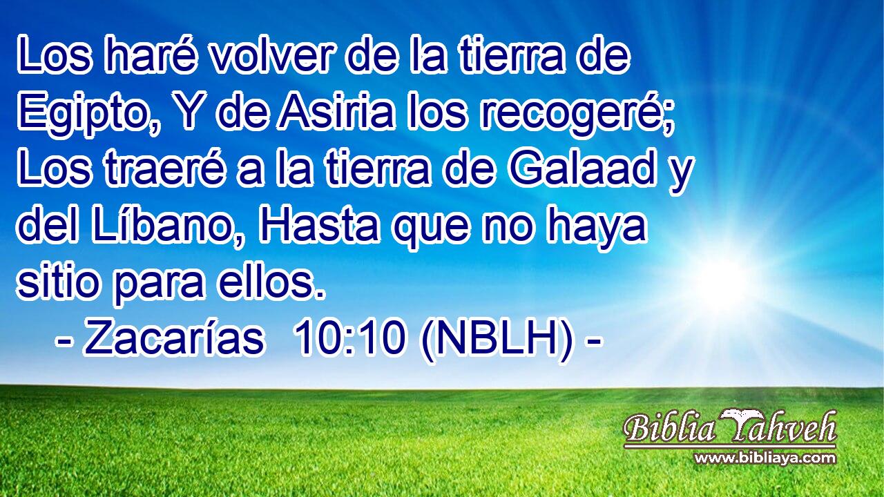  Los haré volver de la tierra de Egipto, Y de Asiria los recogeré; Los traeré a la tierra de Galaad y del Líbano, Hasta que no haya sitio para ellos. 