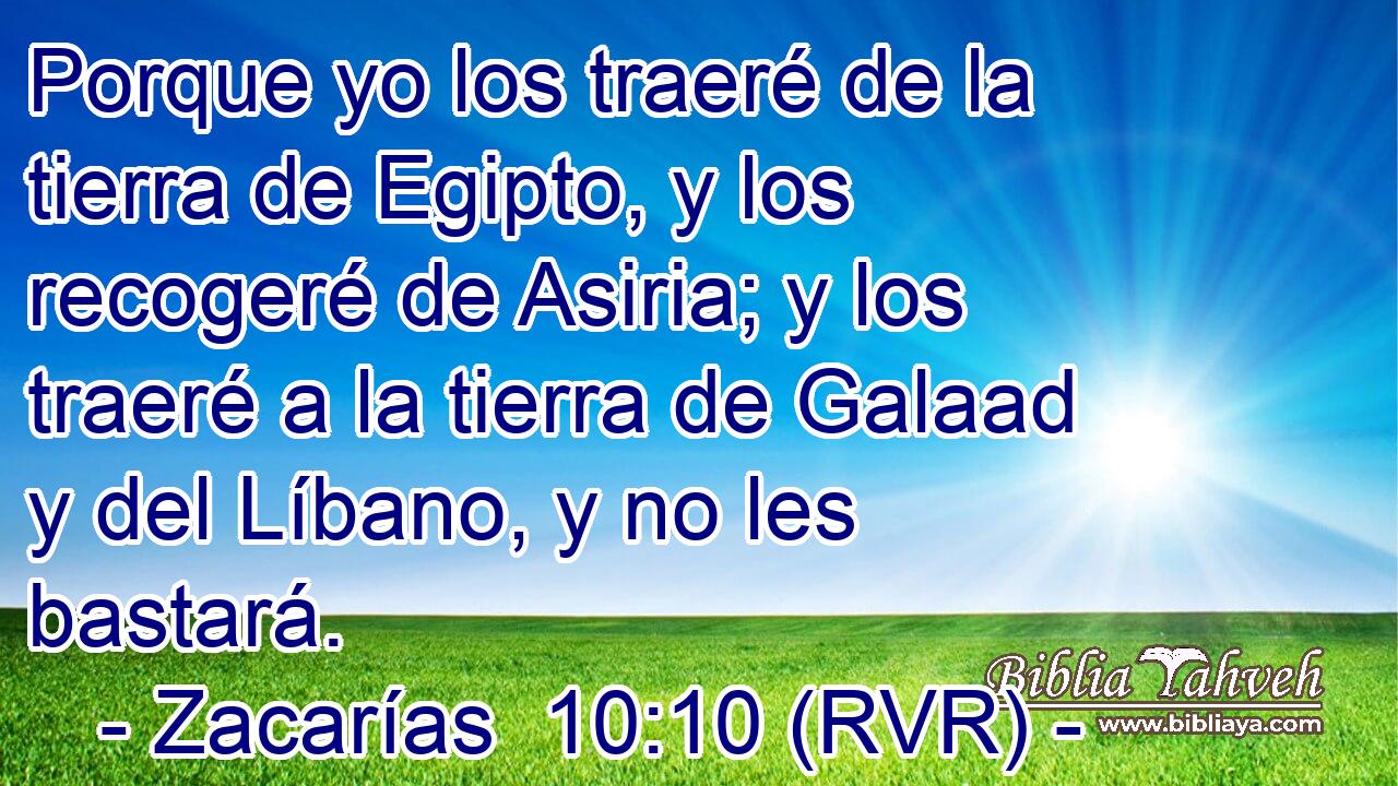 Porque yo los traeré de la tierra de Egipto, y los recogeré de Asiria; y los traeré a la tierra de Galaad y del Líbano, y no les bastará.
