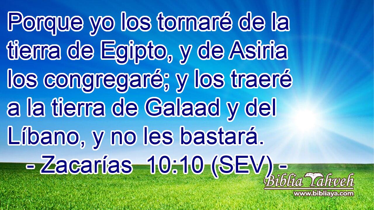 Porque yo los tornaré de la tierra de Egipto, y de Asiria los congregaré; y los traeré a la tierra de Galaad y del Líbano, y no les bastará.