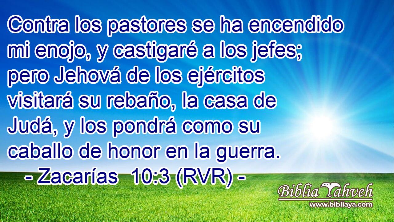 Contra los pastores se ha encendido mi enojo, y castigaré a los jefes; pero Jehová de los ejércitos visitará su rebaño, la casa de Judá, y los pondrá como su caballo de honor en la guerra.