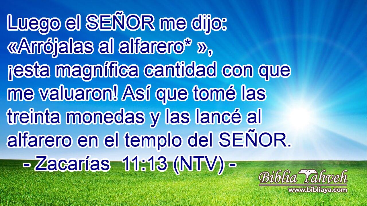 Luego el SEÑOR me dijo: «Arrójalas al alfarero* », ¡esta magnífica cantidad con que me valuaron! Así que tomé las treinta monedas y las lancé al alfarero en el templo del SEÑOR.