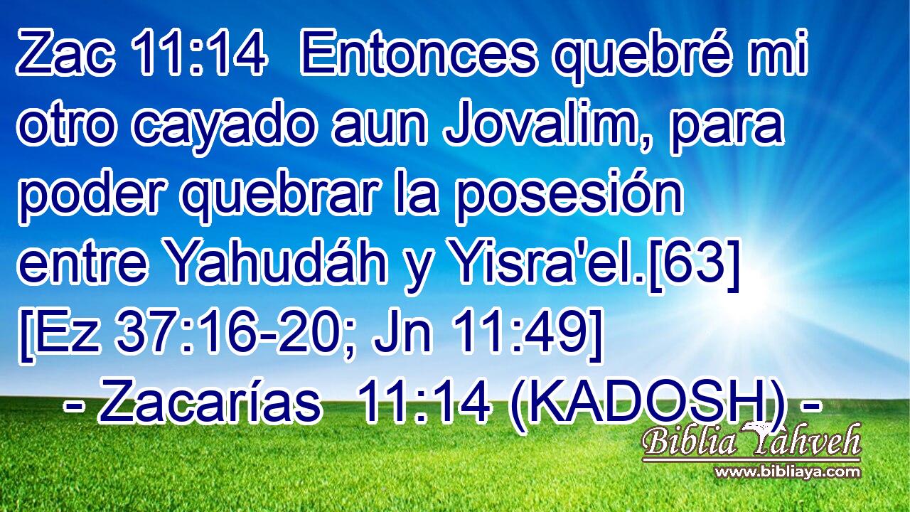  Entonces quebré mi otro cayado aun Jovalim, para poder quebrar la posesión entre Yahudáh y Yisra'el.[63] [Ez 37:16-20; Jn 11:49] 