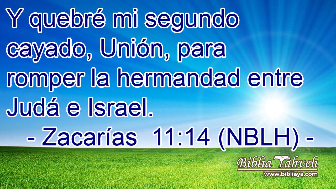  Y quebré mi segundo cayado, Unión, para romper la hermandad entre Judá e Israel. 