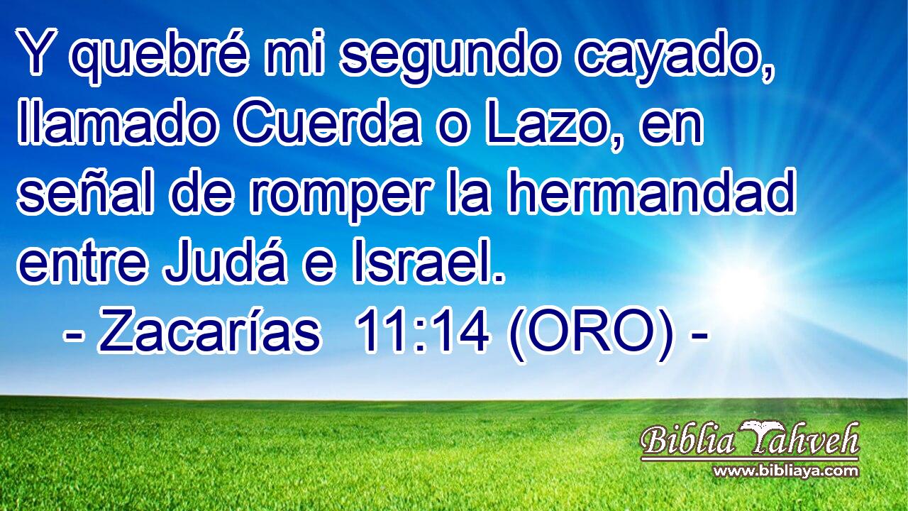  Y quebré mi segundo cayado, llamado Cuerda o Lazo, en señal de romper la hermandad entre Judá e Israel. 