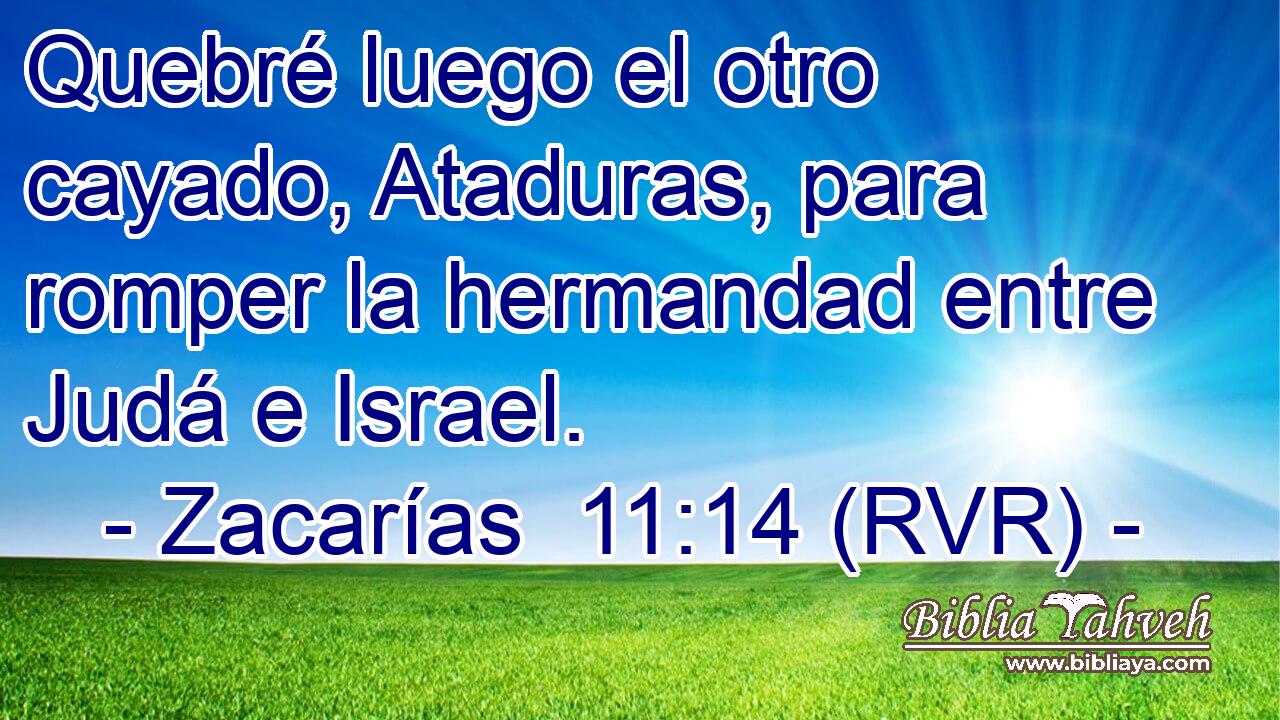 Quebré luego el otro cayado, Ataduras, para romper la hermandad entre Judá e Israel.