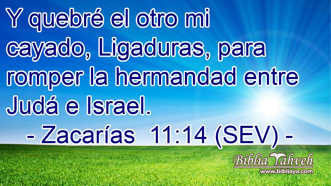 Y quebré el otro mi cayado, Ligaduras, para romper la hermandad entre Judá e Israel.