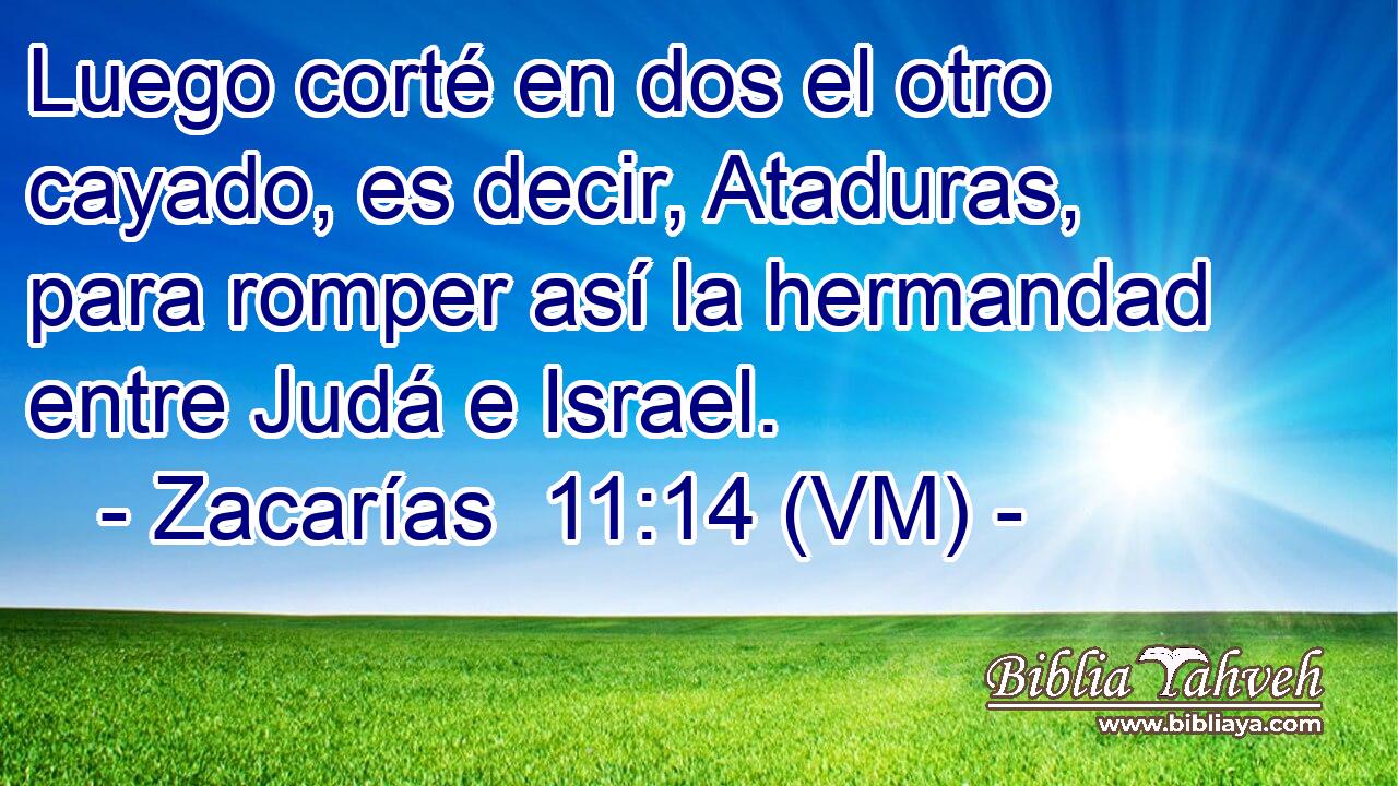  Luego corté en dos el otro cayado, es decir, Ataduras, para romper así la hermandad entre Judá e Israel. 