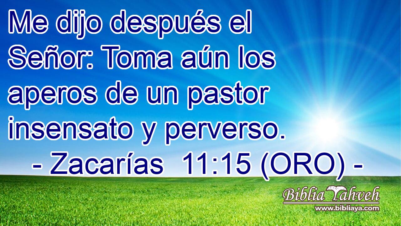  Me dijo después el Señor: Toma aún los aperos de un pastor insensato y perverso. 