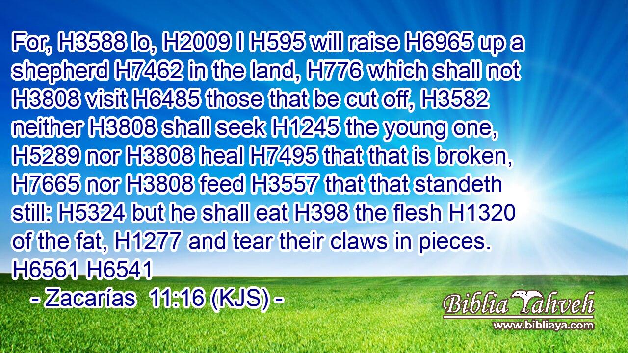 For, H3588 lo, H2009 I H595 will raise H6965 up a shepherd H7462 in the land, H776 which shall not H3808 visit H6485 those that be cut off, H3582 neither H3808 shall seek H1245 the young one, H5289 nor H3808 heal H7495 that that is broken, H7665 nor H3808 feed H3557 that that standeth still: H5324 but he shall eat H398 the flesh H1320 of the fat, H1277 and tear their claws in pieces. H6561 H6541