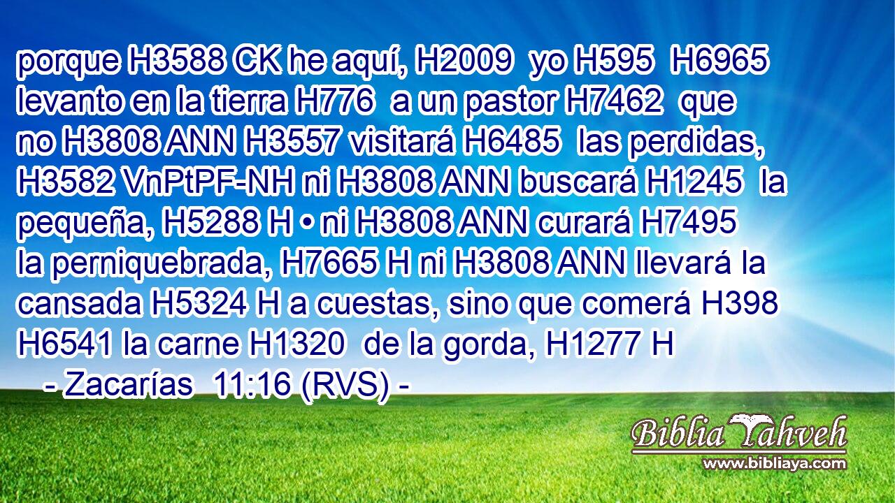porque H3588 CK he aquí, H2009  yo H595  H6965 levanto en la tierra H776  a un pastor H7462  que no H3808 ANN H3557 visitará H6485  las perdidas, H3582 VnPtPF-NH ni H3808 ANN buscará H1245  la pequeña, H5288 H • ni H3808 ANN curará H7495  la perniquebrada, H7665 H ni H3808 ANN llevará la cansada H5324 H a cuestas, sino que comerá H398  H6541 la carne H1320  de la gorda, H1277 H 