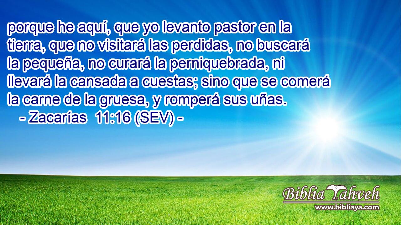 porque he aquí, que yo levanto pastor en la tierra, que no visitará las perdidas, no buscará la pequeña, no curará la perniquebrada, ni llevará la cansada a cuestas; sino que se comerá la carne de la gruesa, y romperá sus uñas.