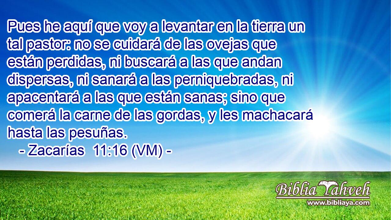  Pues he aquí que voy a levantar en la tierra un tal pastor: no se cuidará de las ovejas que están perdidas, ni buscará a las que andan dispersas, ni sanará a las perniquebradas, ni apacentará a las que están sanas; sino que comerá la carne de las gordas, y les machacará hasta las pesuñas. 