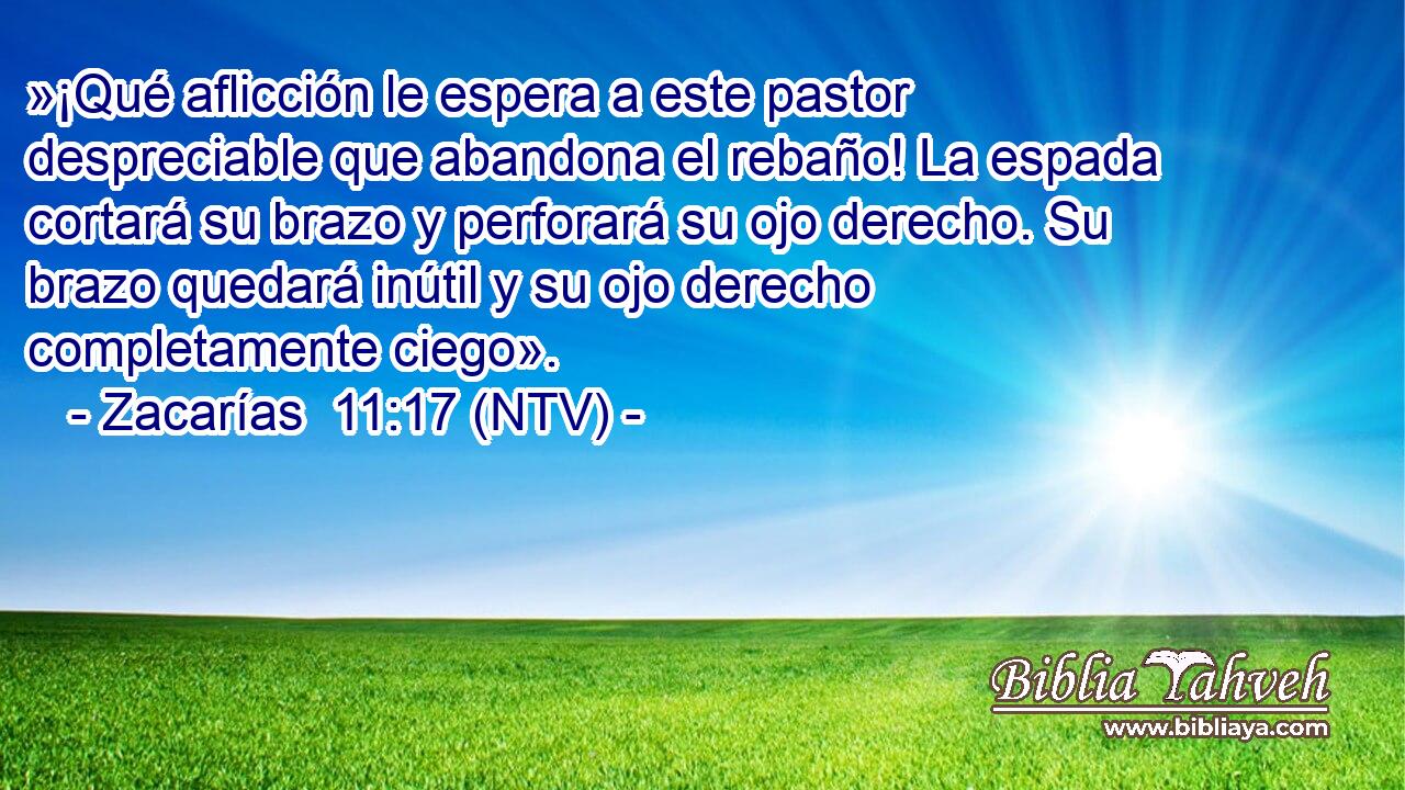 »¡Qué aflicción le espera a este pastor despreciable que abandona el rebaño! La espada cortará su brazo y perforará su ojo derecho. Su brazo quedará inútil y su ojo derecho completamente ciego».