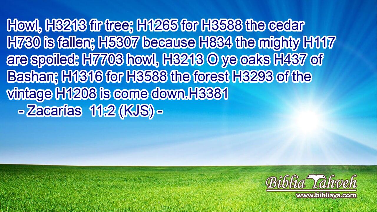 Howl, H3213 fir tree; H1265 for H3588 the cedar H730 is fallen; H5307 because H834 the mighty H117 are spoiled: H7703 howl, H3213 O ye oaks H437 of Bashan; H1316 for H3588 the forest H3293 of the vintage H1208 is come down.H3381