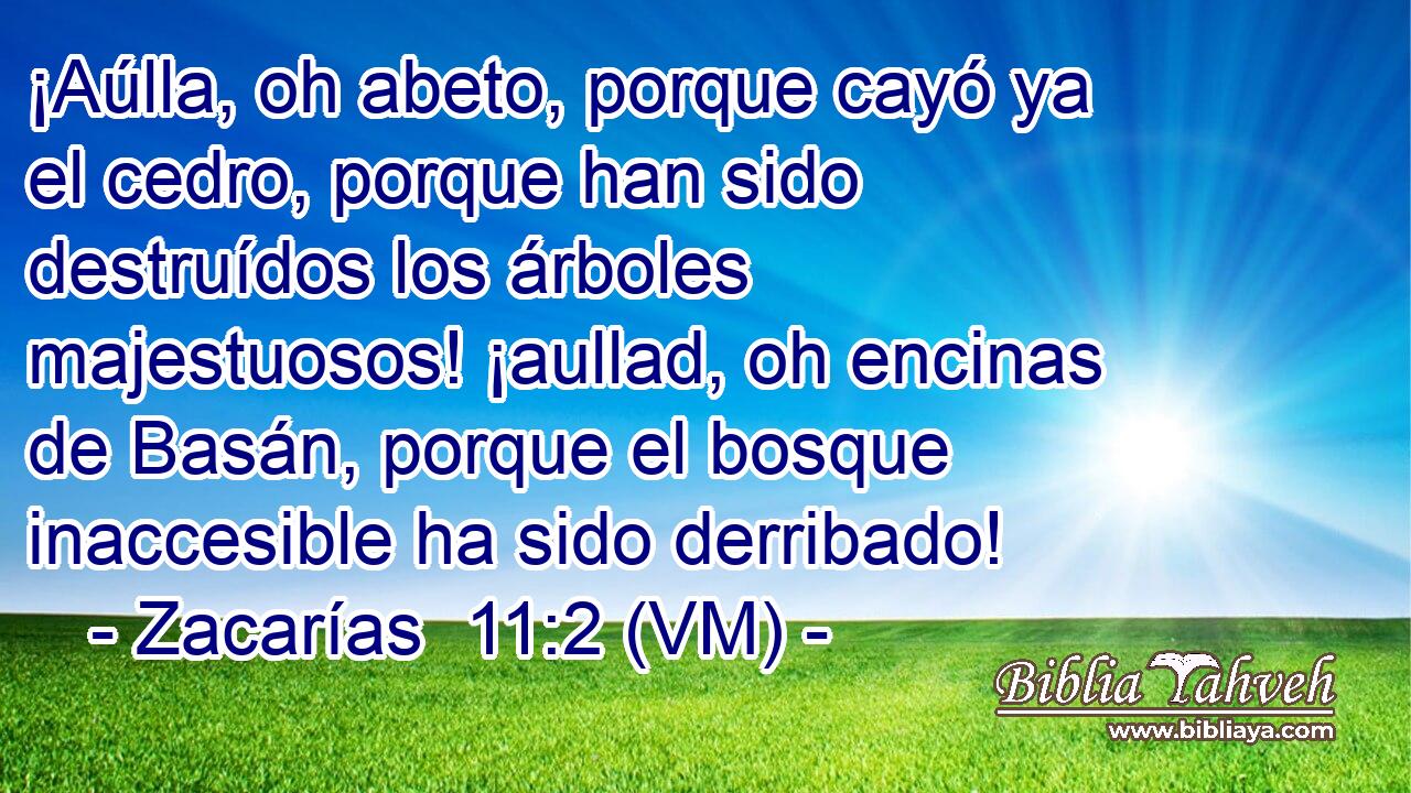  ¡Aúlla, oh abeto, porque cayó ya el cedro, porque han sido destruídos los árboles majestuosos! ¡aullad, oh encinas de Basán, porque el bosque inaccesible ha sido derribado! 