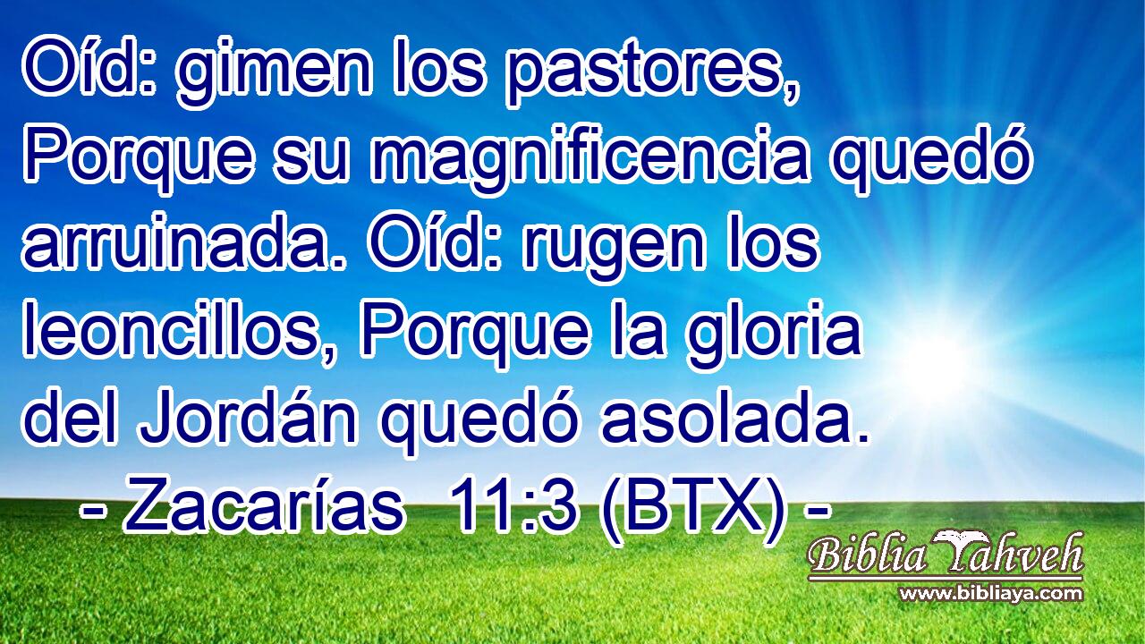 Oíd: gimen los pastores, Porque su magnificencia quedó arruinada. Oíd: rugen los leoncillos, Porque la gloria del Jordán quedó asolada.