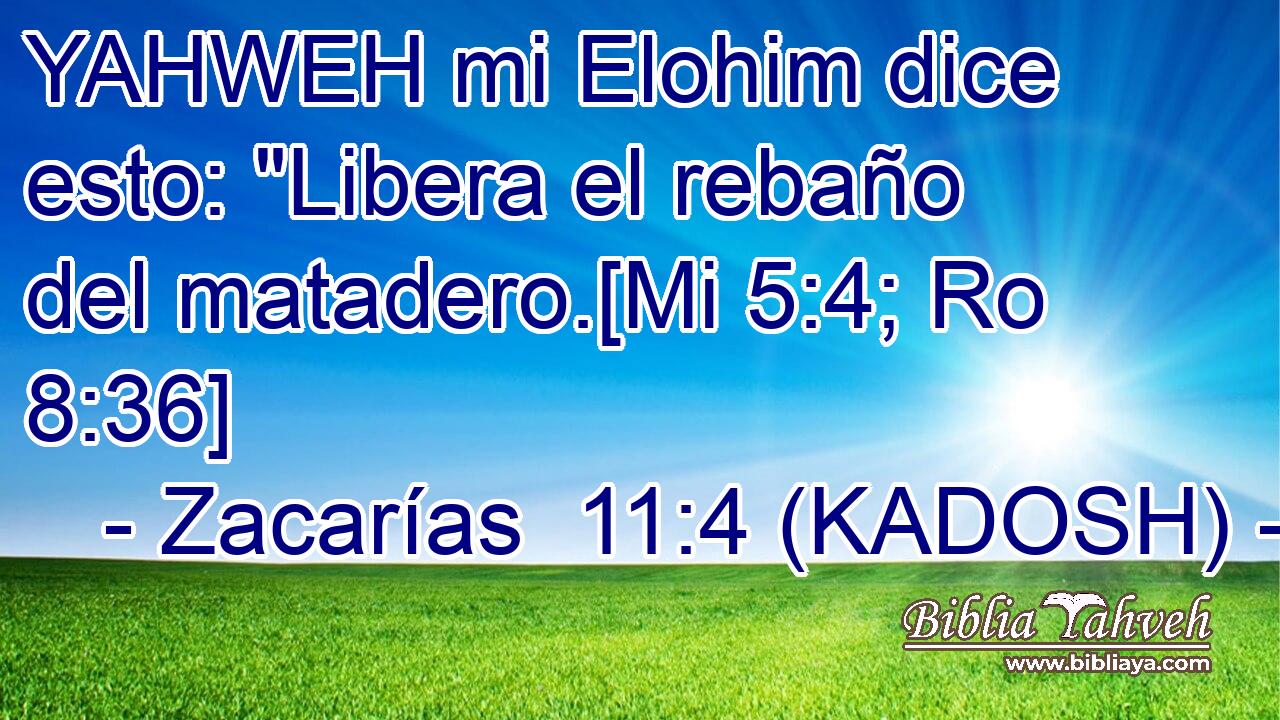  YAHWEH mi Elohim dice esto: 
