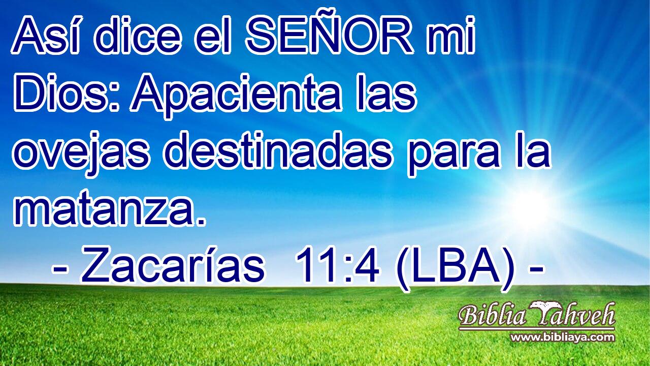 Así dice el SEÑOR mi Dios: Apacienta las ovejas destinadas para la matanza.