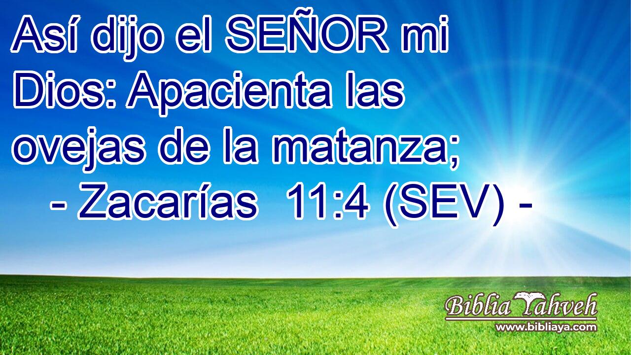 Así dijo el SEÑOR mi Dios: Apacienta las ovejas de la matanza;