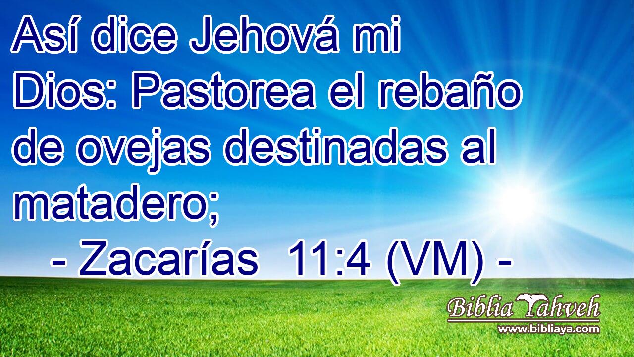  Así dice Jehová mi Dios: Pastorea el rebaño de ovejas destinadas al matadero; 
