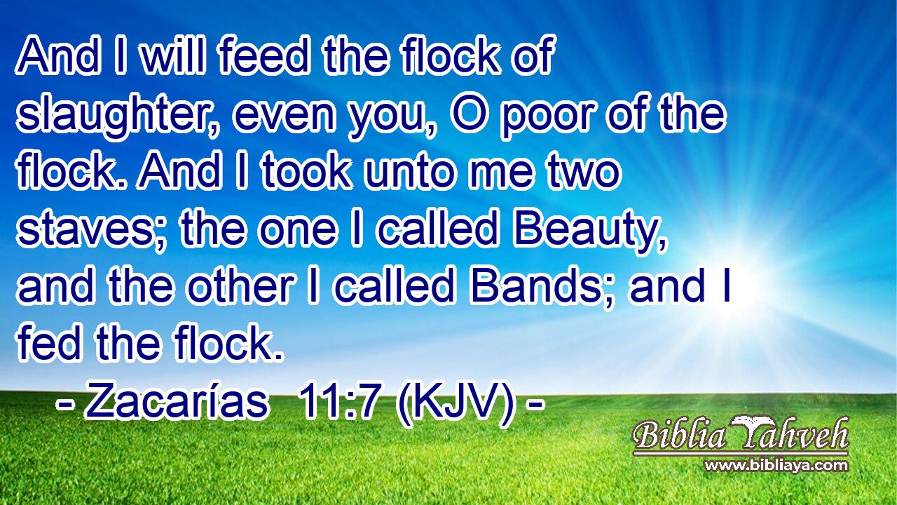 And I will feed the flock of slaughter, even you, O poor of the flock. And I took unto me two staves; the one I called Beauty, and the other I called Bands; and I fed the flock.