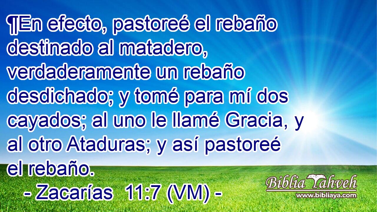  ¶En efecto, pastoreé el rebaño destinado al matadero, verdaderamente un rebaño desdichado; y tomé para mí dos cayados; al uno le llamé Gracia, y al otro Ataduras; y así pastoreé el rebaño. 