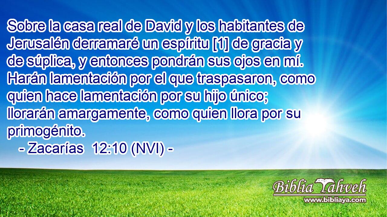  Sobre la casa real de David y los habitantes de Jerusalén derramaré un espíritu [1] de gracia y de súplica, y entonces pondrán sus ojos en mí. Harán lamentación por el que traspasaron, como quien hace lamentación por su hijo único; llorarán amargamente, como quien llora por su primogénito. 