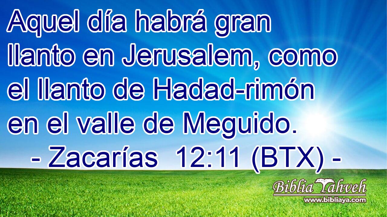 Aquel día habrá gran llanto en Jerusalem, como el llanto de Hadad-rimón en el valle de Meguido.